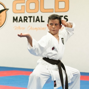 gold-martial-arts-perth-gallery1