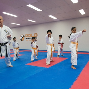 gold-martial-arts-perth-gallery2