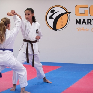 gold-martial-arts-perth-gallery4